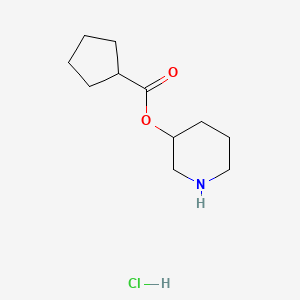 molecular formula C11H20ClNO2 B1397380 3-哌啶基环戊烷甲酸盐盐酸盐 CAS No. 1219972-60-7