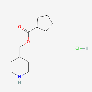 molecular formula C12H22ClNO2 B1397381 4-哌啶基甲基环戊烷甲酸盐酸盐 CAS No. 1220027-40-6