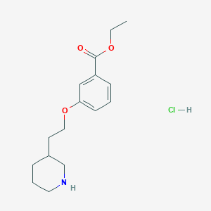 molecular formula C16H24ClNO3 B1397397 3-[2-(3-哌啶基)乙氧基]苯甲酸乙酯盐酸盐 CAS No. 1219980-78-5