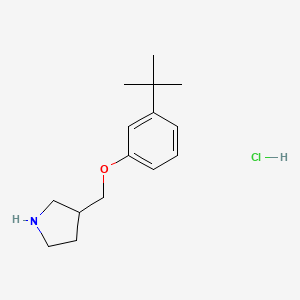 molecular formula C15H24ClNO B1397398 3-(tert-Butyl)phenyl 3-pyrrolidinylmethyl ether hydrochloride CAS No. 1219982-61-2