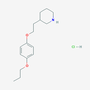 molecular formula C16H26ClNO2 B1397409 4-[2-(3-哌啶基)乙氧基]苯基丙基醚盐酸盐 CAS No. 1220037-60-4