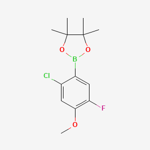 molecular formula C13H17BClFO3 B13974499 2-(2-Chloro-5-fluoro-4-methoxyphenyl)-4,4,5,5-tetramethyl-1,3,2-dioxaborolane 