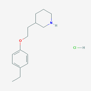 molecular formula C15H24ClNO B1397469 3-[2-(4-Ethylphenoxy)ethyl]piperidine hydrochloride CAS No. 1220032-21-2