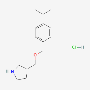 molecular formula C15H24ClNO B1397472 3-{[(4-Isopropylbenzyl)oxy]methyl}pyrrolidine hydrochloride CAS No. 1219949-14-0