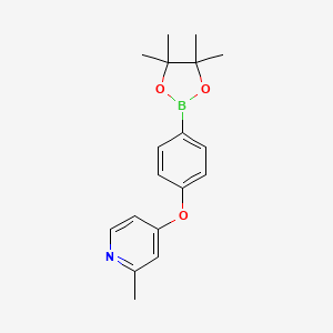 molecular formula C18H22BNO3 B13974746 2-Methyl-4-(4-(tetramethyl-1,3,2-dioxaborolan-2-yl)phenoxy)pyridine 