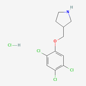 molecular formula C11H13Cl4NO B1397476 3-[(2,4,5-Trichlorophenoxy)methyl]pyrrolidine hydrochloride CAS No. 1219972-56-1