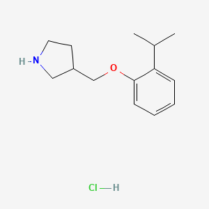 molecular formula C14H22ClNO B1397481 3-[(2-异丙基苯氧基)甲基]吡咯烷盐酸盐 CAS No. 1220028-81-8