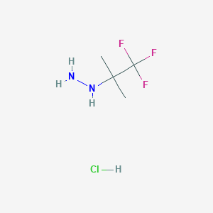 (1,1,1-Trifluoro-2-methylpropan-2-yl)hydrazine hydrochloride