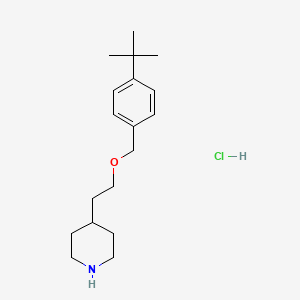 molecular formula C18H30ClNO B1397485 4-(2-{[4-(叔丁基)苄基]氧基}乙基)哌啶盐酸盐 CAS No. 1219981-03-9