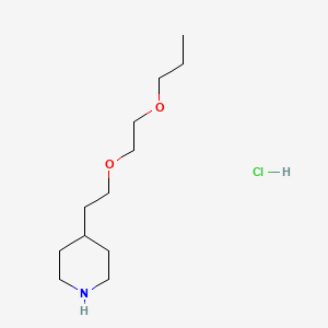 molecular formula C12H26ClNO2 B1397486 4-[2-(2-Propoxyethoxy)ethyl]piperidine hydrochloride CAS No. 1220028-36-3