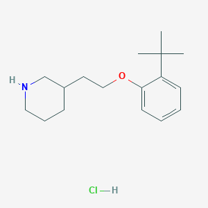 molecular formula C17H28ClNO B1397489 3-{2-[2-(叔丁基)苯氧基]乙基}哌啶盐酸盐 CAS No. 1220031-71-9