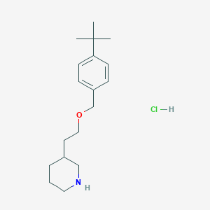 molecular formula C18H30ClNO B1397496 3-(2-{[4-(tert-Butyl)benzyl]oxy}ethyl)piperidine hydrochloride CAS No. 1220017-92-4