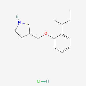 3-{[2-(sec-Butyl)phenoxy]methyl}pyrrolidine hydrochloride