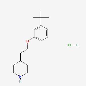 molecular formula C17H28ClNO B1397515 4-{2-[3-(tert-Butyl)phenoxy]ethyl}piperidine hydrochloride CAS No. 1219949-38-8