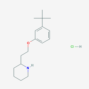 molecular formula C17H28ClNO B1397516 2-{2-[3-(tert-Butyl)phenoxy]ethyl}piperidine hydrochloride CAS No. 1219980-85-4