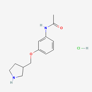 molecular formula C13H19ClN2O2 B1397517 N-[3-(3-Pyrrolidinylmethoxy)phenyl]acetamide hydrochloride CAS No. 1219949-34-4