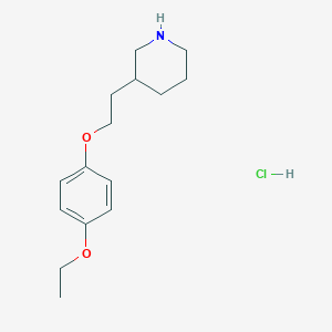 molecular formula C15H24ClNO2 B1397518 3-[2-(4-Ethoxyphenoxy)ethyl]piperidine hydrochloride CAS No. 1220032-10-9