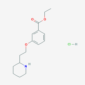 Ethyl 3-[2-(2-piperidinyl)ethoxy]benzoate hydrochloride