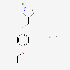 molecular formula C13H20ClNO2 B1397529 3-[(4-乙氧基苯氧基)甲基]吡咯烷盐酸盐 CAS No. 1220016-35-2