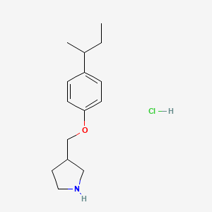 3-{[4-(sec-Butyl)phenoxy]methyl}pyrrolidine hydrochloride