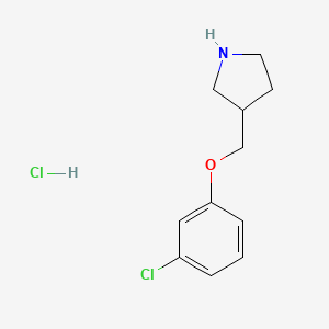 molecular formula C11H15Cl2NO B1397532 3-[(3-Chlorophenoxy)methyl]pyrrolidine hydrochloride CAS No. 1219949-32-2