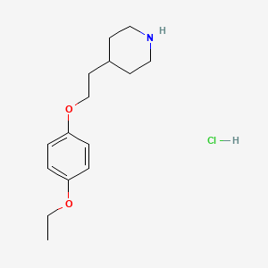 molecular formula C15H24ClNO2 B1397533 4-[2-(4-Ethoxyphenoxy)ethyl]piperidine hydrochloride CAS No. 1220037-53-5