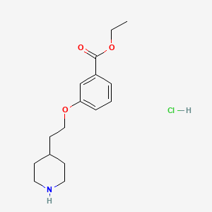 molecular formula C16H24ClNO3 B1397536 Ethyl 3-[2-(4-piperidinyl)ethoxy]benzoate hydrochloride CAS No. 1220031-86-6