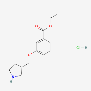 molecular formula C14H20ClNO3 B1397538 Ethyl 3-(3-pyrrolidinylmethoxy)benzoate hydrochloride CAS No. 1219949-37-7