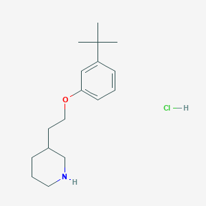 3-{2-[3-(tert-Butyl)phenoxy]ethyl}piperidine hydrochloride