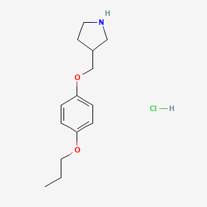 molecular formula C14H22ClNO2 B1397546 3-[(4-Propoxyphenoxy)methyl]pyrrolidine hydrochloride CAS No. 1220032-12-1
