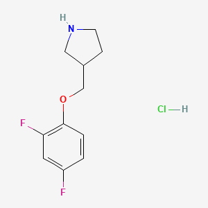 molecular formula C11H14ClF2NO B1397565 3-[(2,4-Difluorophenoxy)methyl]pyrrolidine hydrochloride CAS No. 1220032-31-4