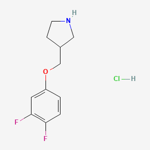 molecular formula C11H14ClF2NO B1397569 3-[(3,4-Difluorophenoxy)methyl]pyrrolidine hydrochloride CAS No. 1219982-45-2