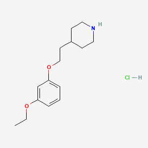 molecular formula C15H24ClNO2 B1397573 4-[2-(3-Ethoxyphenoxy)ethyl]piperidine hydrochloride CAS No. 1219982-71-4
