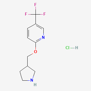 molecular formula C11H14ClF3N2O B1397582 3-Pyrrolidinylmethyl 5-(trifluoromethyl)-2-pyridinyl ether hydrochloride CAS No. 1220016-81-8