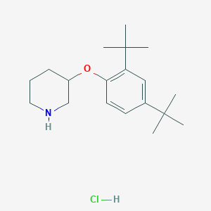 molecular formula C19H32ClNO B1397583 3-[2,4-Di(tert-butyl)phenoxy]piperidine hydrochloride CAS No. 1220032-75-6