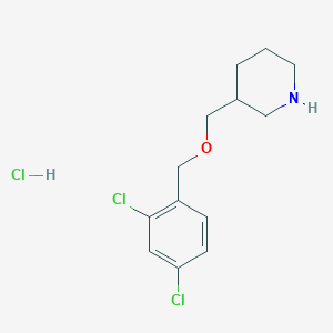 molecular formula C13H18Cl3NO B1397585 3-(2,4-Dichloro-benzyloxymethyl)-piperidine hydrochloride CAS No. 1220027-25-7