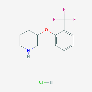 molecular formula C12H15ClF3NO B1397586 3-[2-(Trifluoromethyl)phenoxy]piperidine hydrochloride CAS No. 1220028-58-9