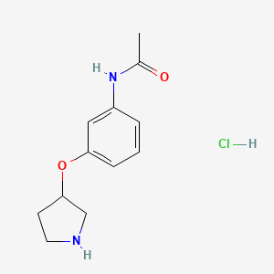 molecular formula C12H17ClN2O2 B1397587 N-[3-(3-Pyrrolidinyloxy)phenyl]acetamide hydrochloride CAS No. 1220033-74-8