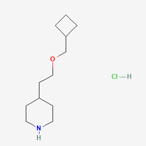molecular formula C12H24ClNO B1397600 4-[2-(Cyclobutylmethoxy)ethyl]piperidine hydrochloride CAS No. 1220032-58-5