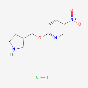 molecular formula C10H14ClN3O3 B1397601 5-Nitro-2-(3-pyrrolidinylmethoxy)pyridine hydrochloride CAS No. 1219976-70-1