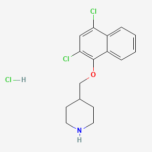 molecular formula C16H18Cl3NO B1397602 2,4-Dichloro-1-naphthyl 4-piperidinylmethyl ether hydrochloride CAS No. 1220032-69-8