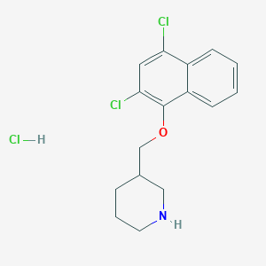 molecular formula C16H18Cl3NO B1397603 2,4-Dichloro-1-naphthyl 3-piperidinylmethyl ether hydrochloride CAS No. 1219972-40-3