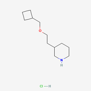 molecular formula C12H24ClNO B1397606 3-[2-(Cyclobutylmethoxy)ethyl]piperidine hydrochloride CAS No. 1220016-97-6