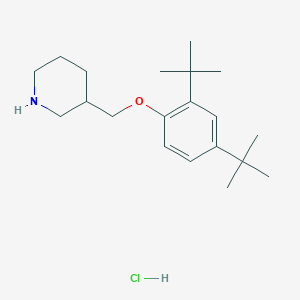 molecular formula C20H34ClNO B1397608 3-{[2,4-Di(tert-butyl)phenoxy]methyl}piperidine hydrochloride CAS No. 1219972-58-3