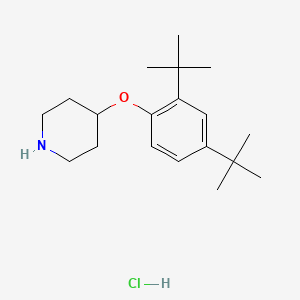 molecular formula C19H32ClNO B1397609 4-[2,4-Di(tert-butyl)phenoxy]piperidine hydrochloride CAS No. 1220021-20-4