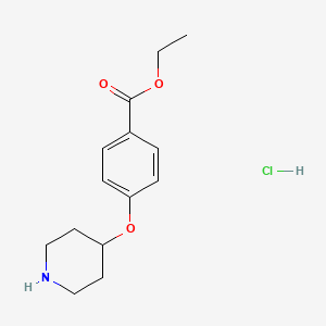 molecular formula C14H20ClNO3 B1397611 Clorhidrato de 4-(4-piperidiniloxi)benzoato de etilo CAS No. 950649-15-7