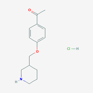molecular formula C14H20ClNO2 B1397613 1-[4-(3-Piperidinylmethoxy)phenyl]-1-ethanone hydrochloride CAS No. 1220021-27-1