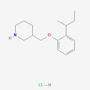 molecular formula C16H26ClNO B1397614 3-{[2-(sec-Butyl)phenoxy]methyl}piperidine hydrochloride CAS No. 1220033-49-7