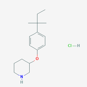 molecular formula C16H26ClNO B1397615 4-(tert-Pentyl)phenyl 3-piperidinyl ether hydrochloride CAS No. 1219982-36-1