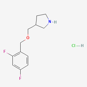 molecular formula C12H16ClF2NO B1397617 3-{[(2,4-二氟苄基)氧基]甲基}吡咯烷盐酸盐 CAS No. 1219976-55-2